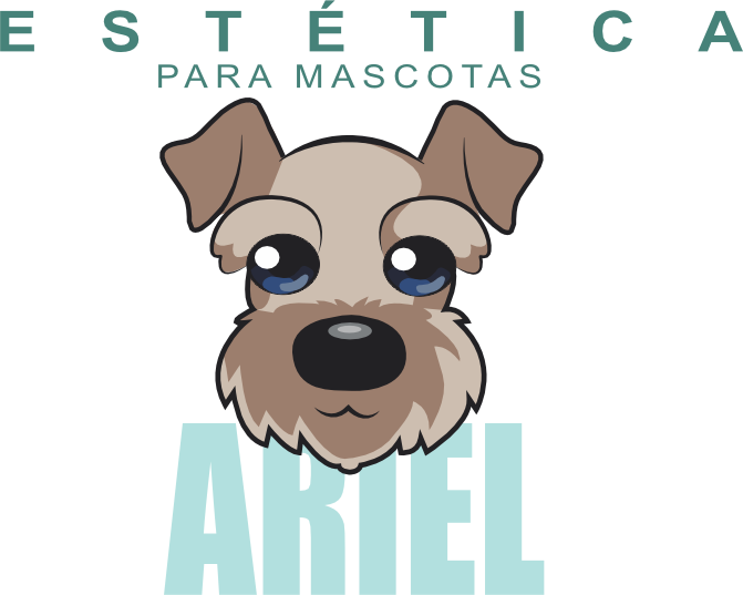 ARIEL ESTETICA PARA MASCOTAS