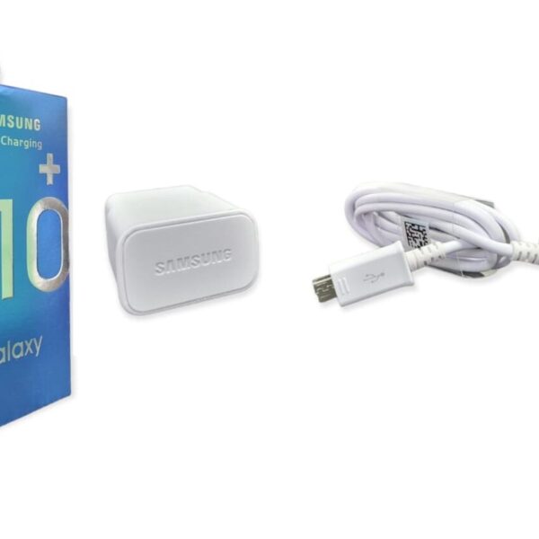 Cargador Samsung S10 v8