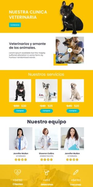 Diseno-de-landing-page